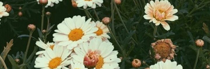 IriSeijas's profile banner image