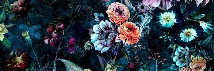 EFardyana's profile banner image