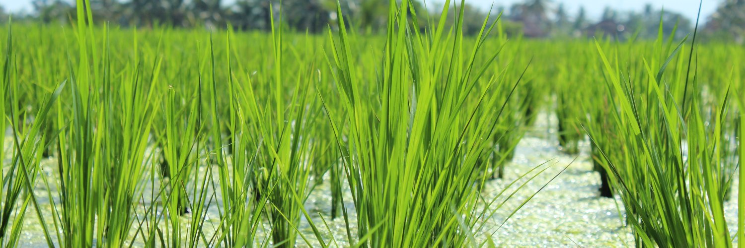 Vicente Richart banner