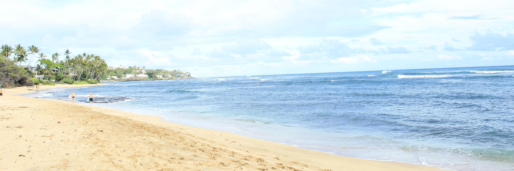 ekalopes's profile banner image
