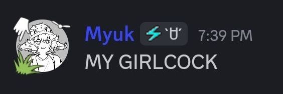 Myuk ✦ ミュク|| 🐱✨Raijin VTuber banner