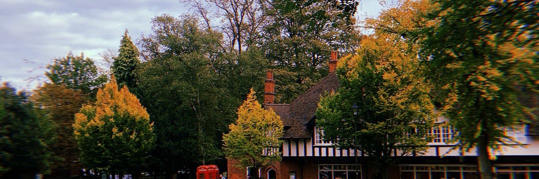 ellwhitehall's profile banner image