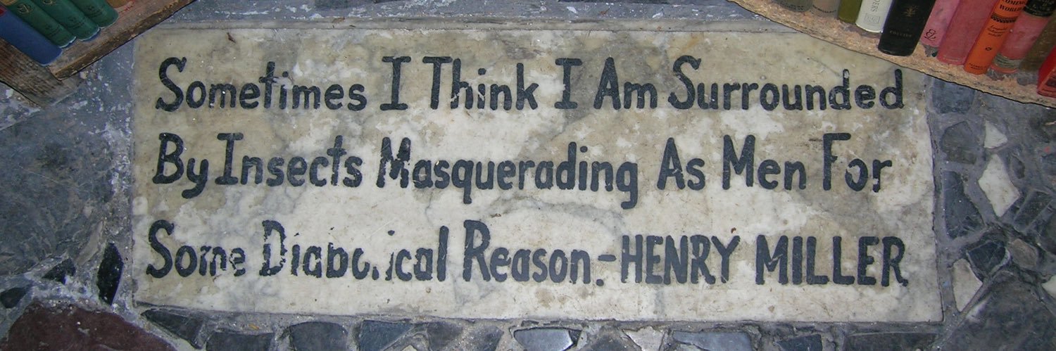 hdighn's profile banner image