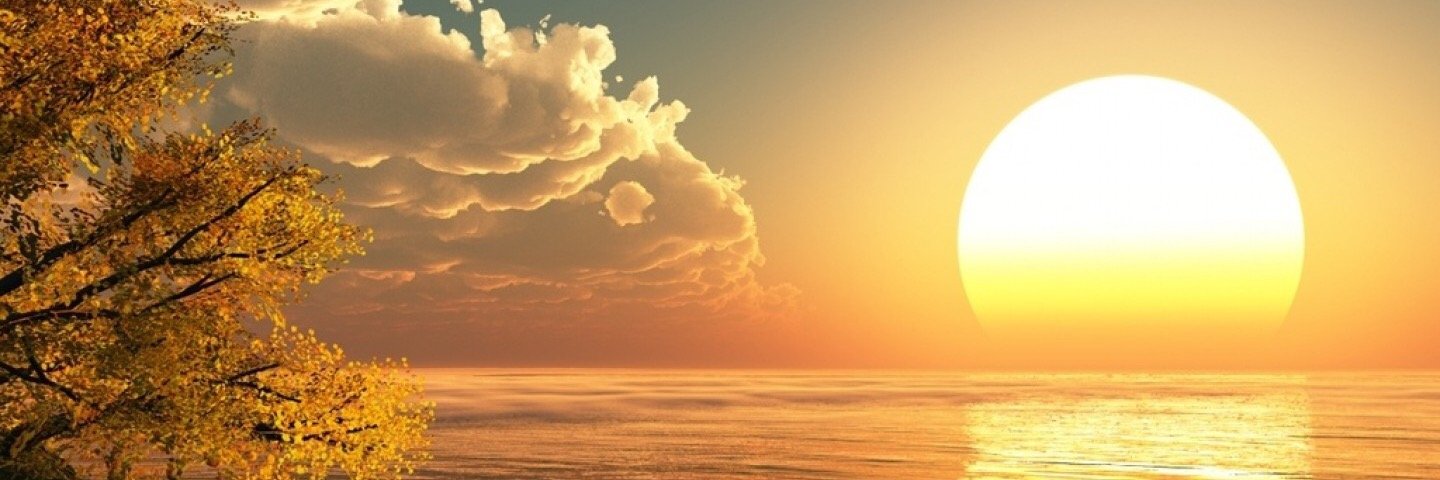 Donny_Lima's profile banner image