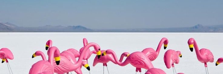 chrisjayhill's profile banner image