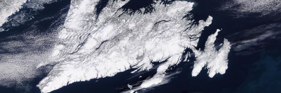 Sea Kelly banner