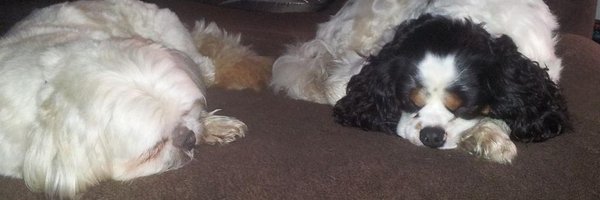 Tinkz777 Profile Banner