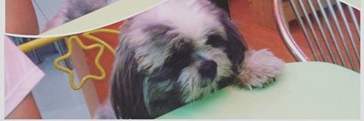 itsMGVstpd's profile banner image