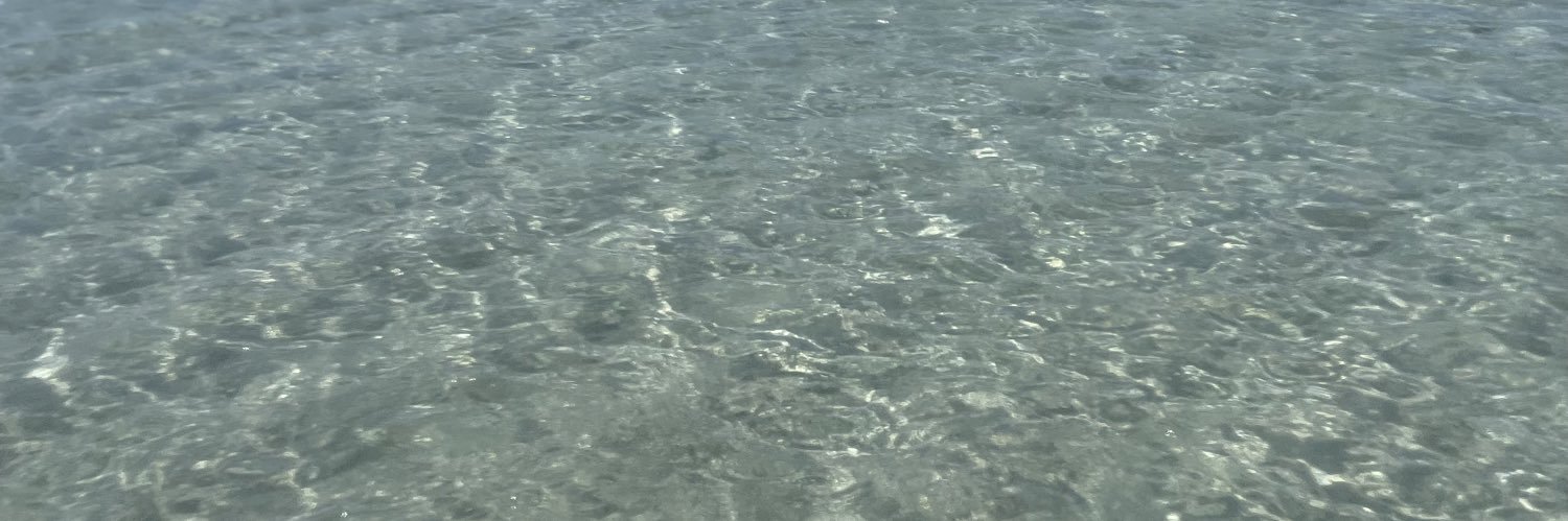 deeboraperes's profile banner image