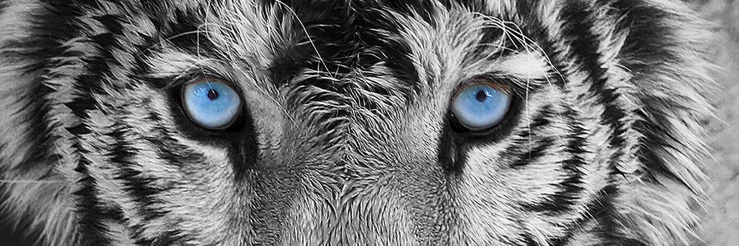 drsemsialp's profile banner image