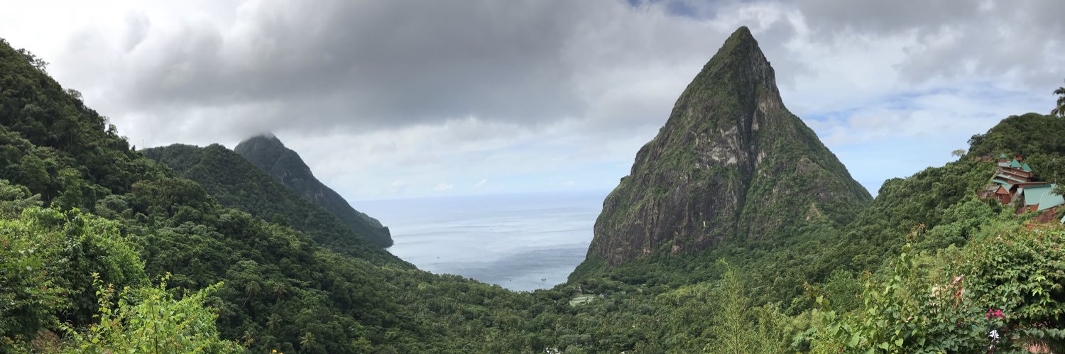 Angelique Tavernier 👩🏼‍💻 banner