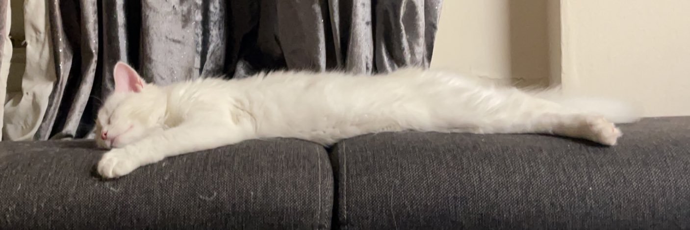 lifebemad's profile banner image