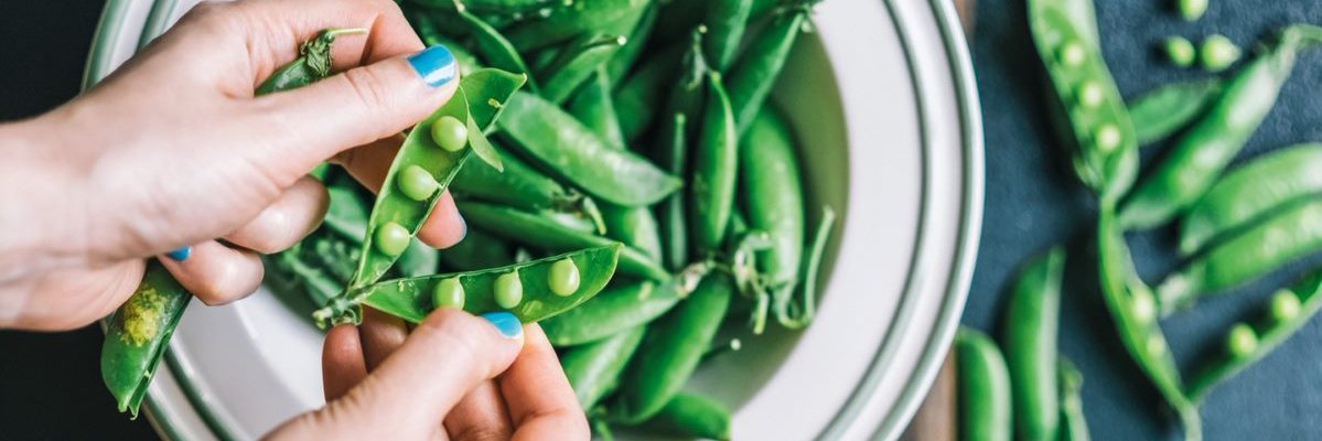 Patrick Sochnikoff banner