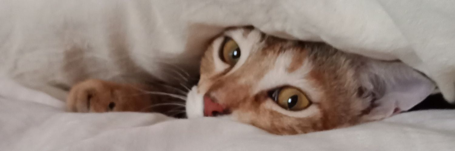 cherukote's profile banner image