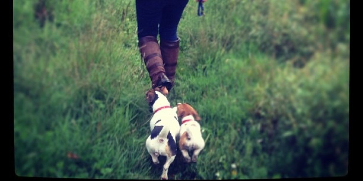 BeckyPartridge2's profile banner image