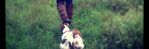 BeckyPartridge2 Profile Banner