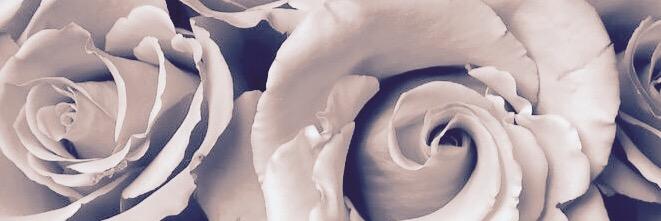 shenessewallace's profile banner image