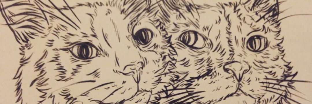itsalisorry's profile banner image
