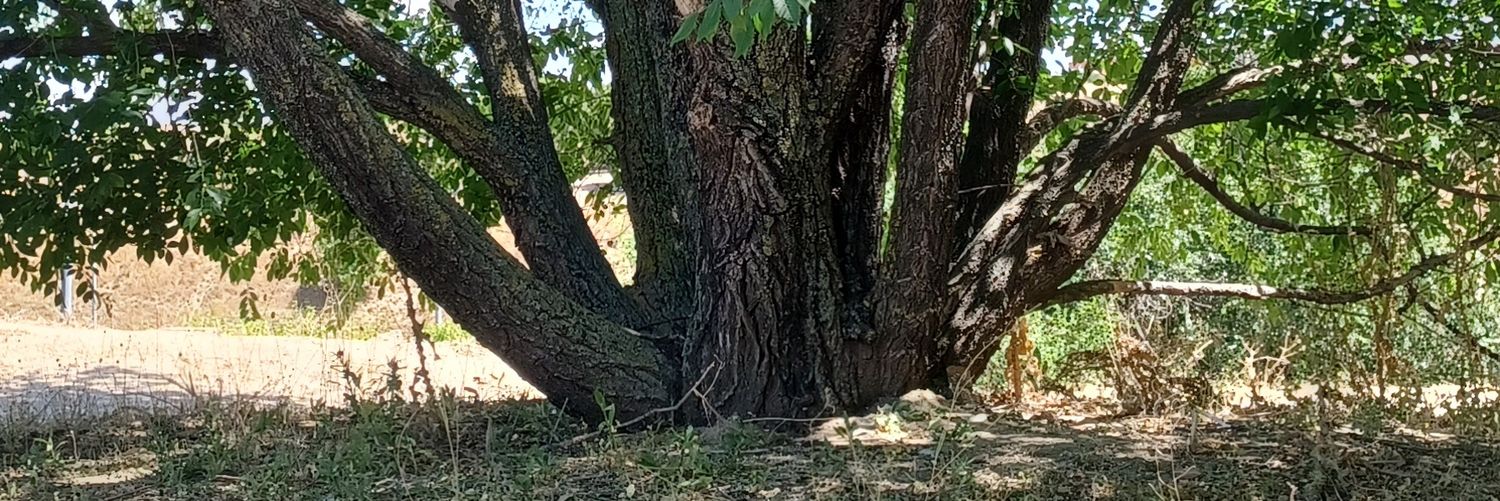 GardenParadaise's profile banner image