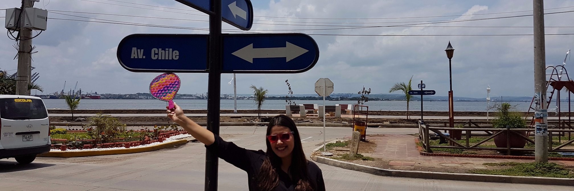 paulialarconb's profile banner image