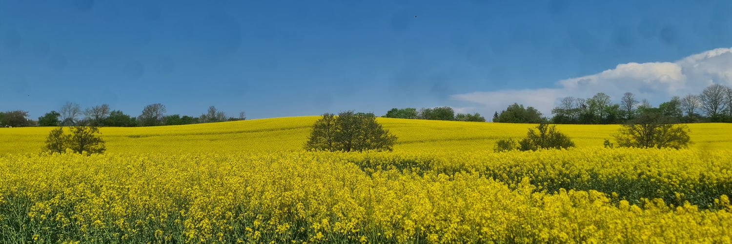 karatasmr's profile banner image