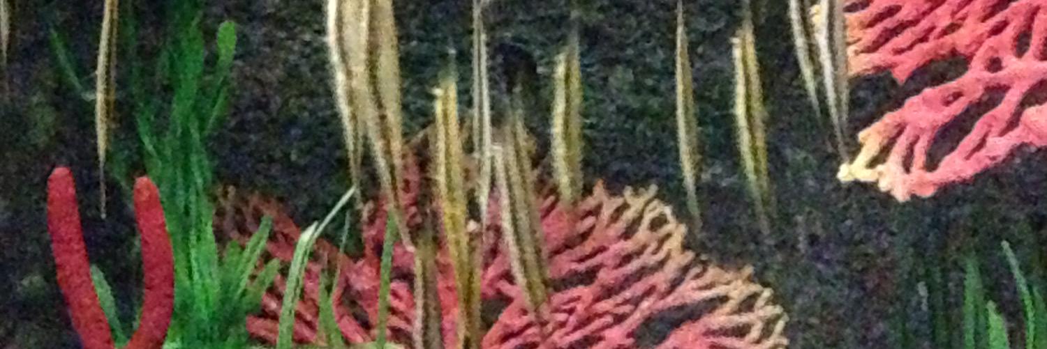 Lilly_Pinks's profile banner image