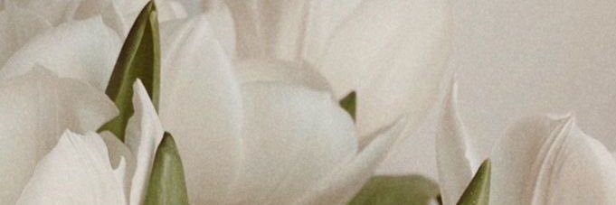 MSuzanni's profile banner image