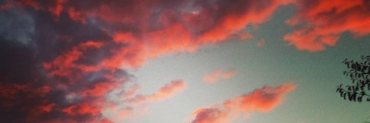 SheilaSaraii's profile banner image