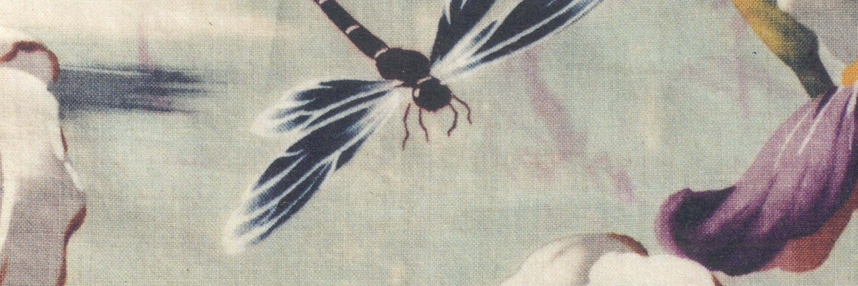 Pieter Pelgrims banner