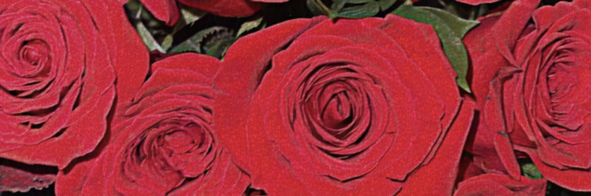 pavanbhathal's profile banner image