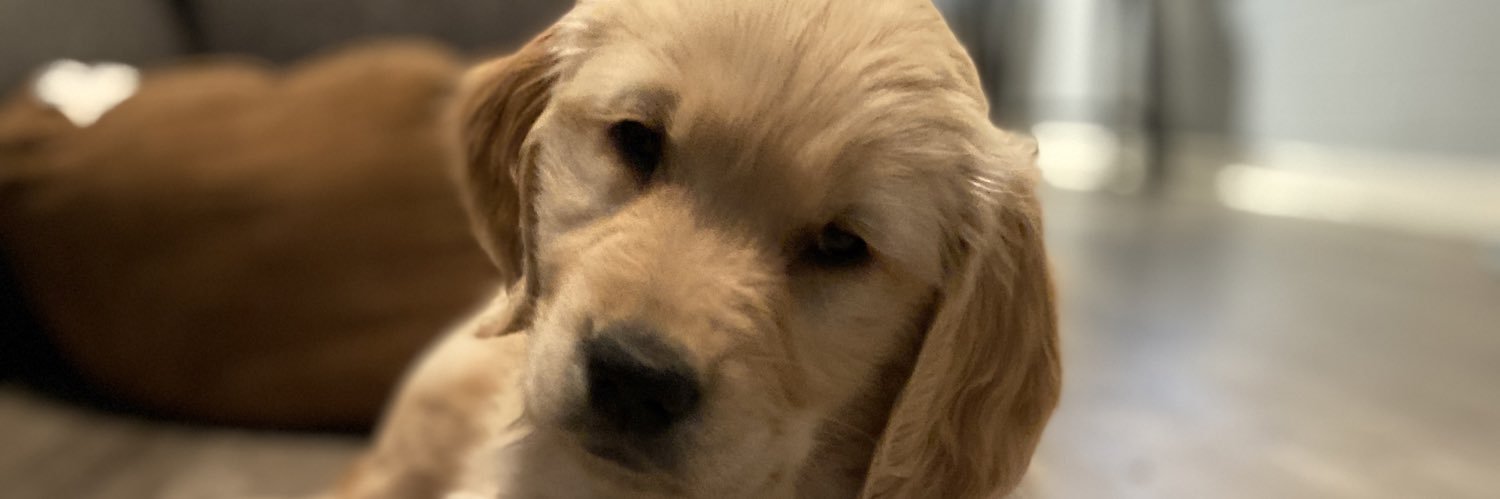 thejakecoble's profile banner image