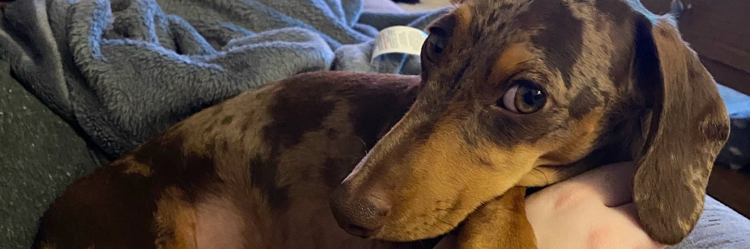 Emily Grindley banner