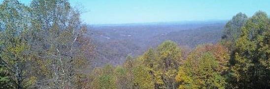 Jenny from the Holler banner