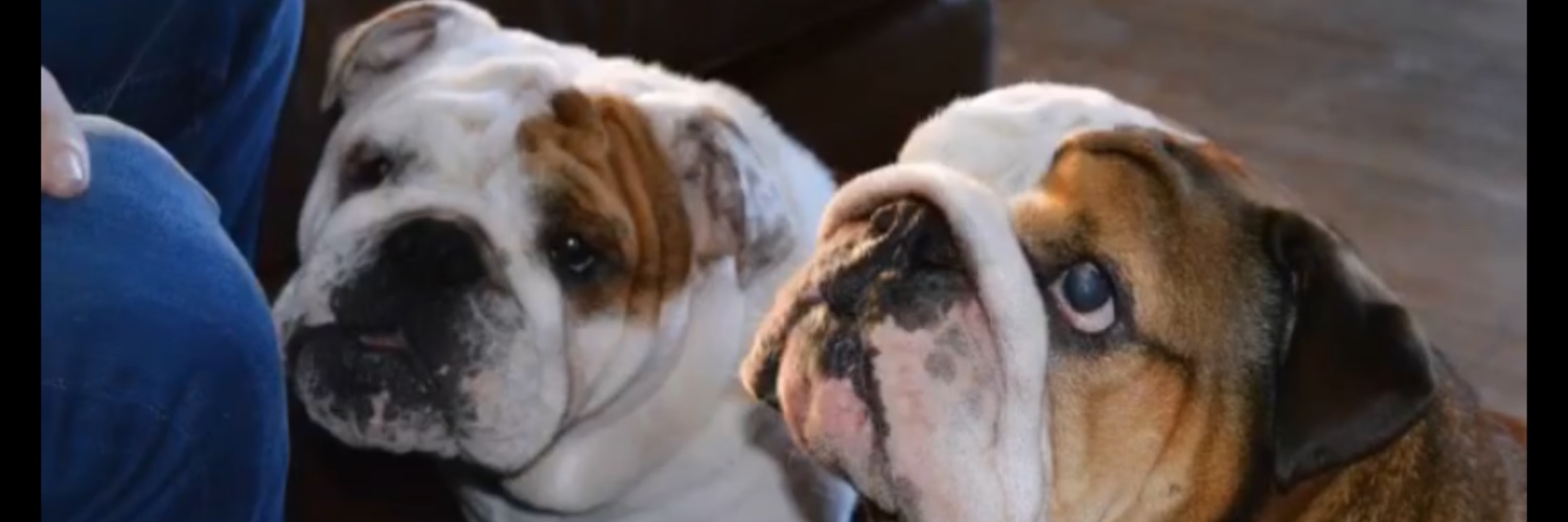 Chris McCarthy (MAC) banner