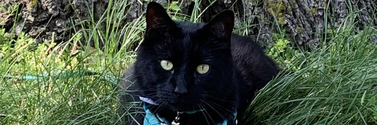 CDaniel8407's profile banner image