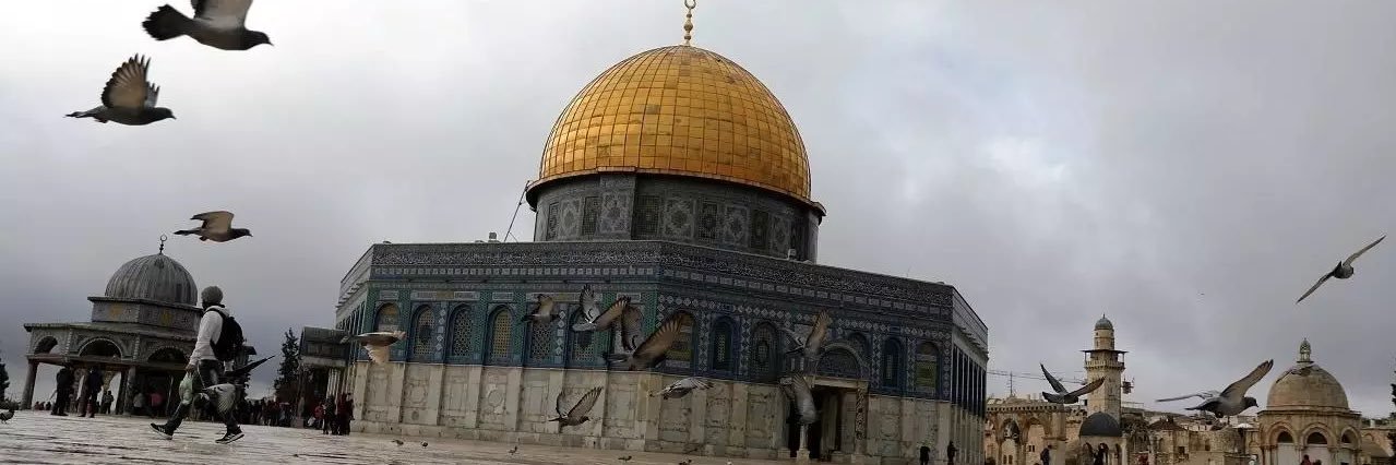 MDahabeeb's profile banner image