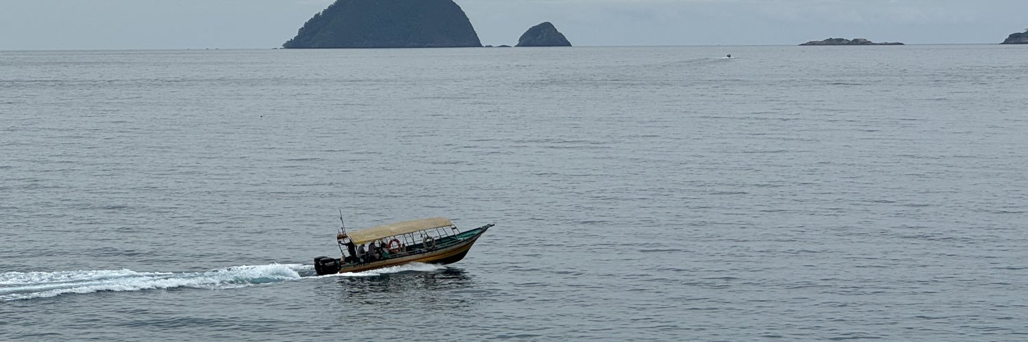 mhanifazami's profile banner image