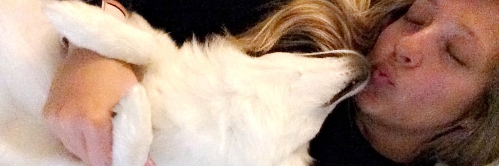 mandaababeey's profile banner image