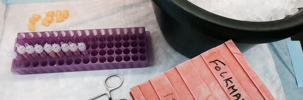 DrPrathima Profile Banner