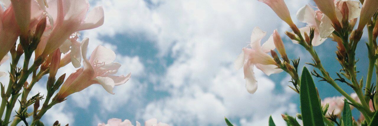 plherez's profile banner image