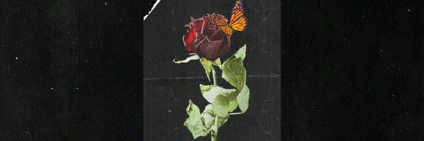 Chiral_jnr's profile banner image
