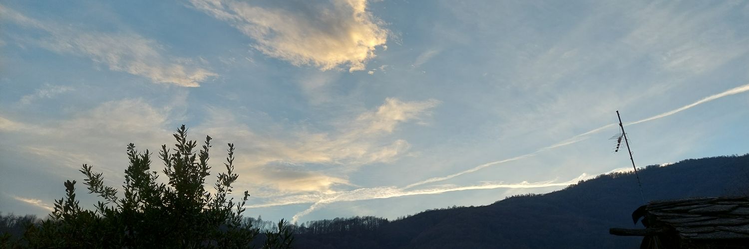 yari_crypto's profile banner image