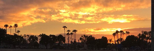 DrSiggy5 Profile Banner