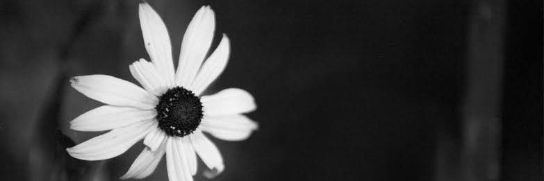 atak_eda's profile banner image