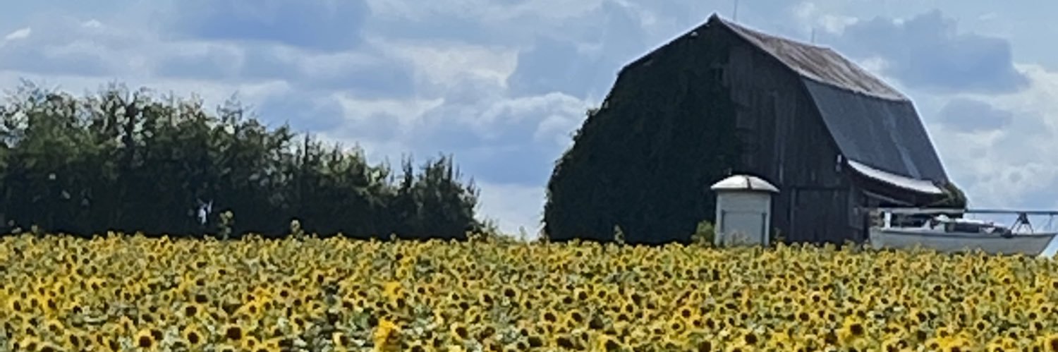 srblock007's profile banner image