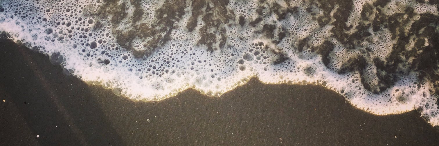 MoreyAllison's profile banner image