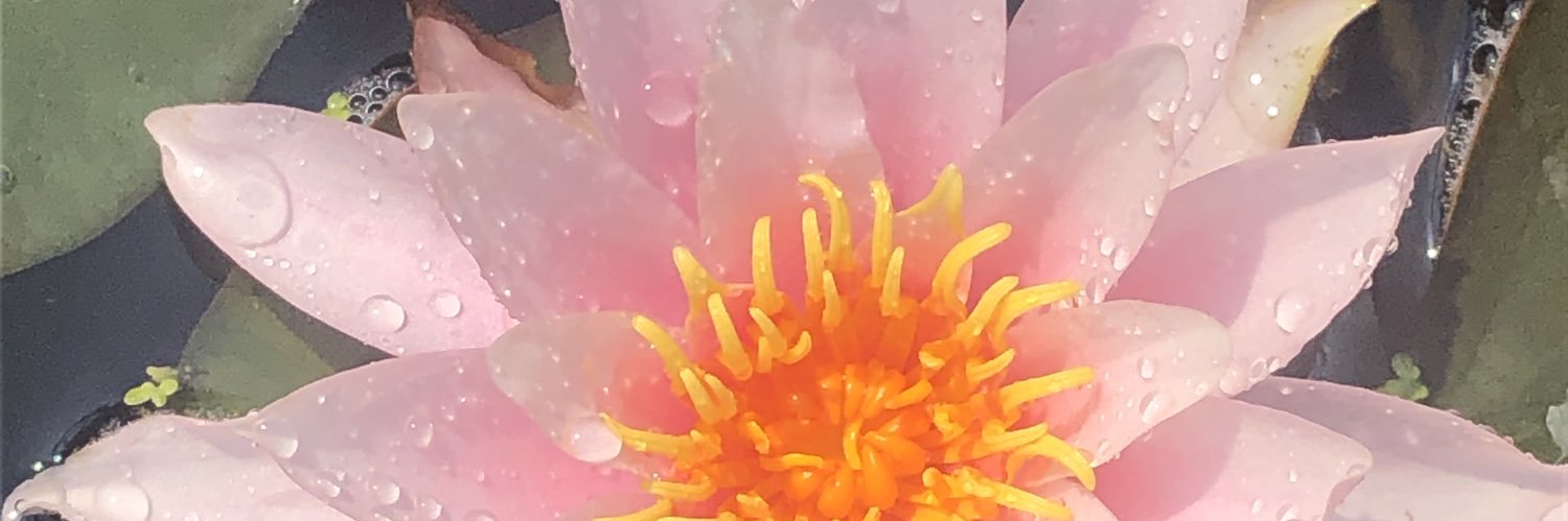 cazababe75's profile banner image