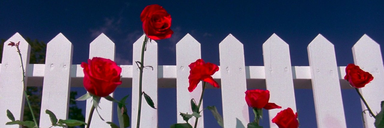 Belle_Blue's profile banner image