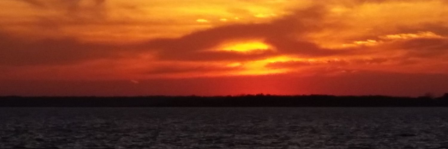 karenthoc's profile banner image