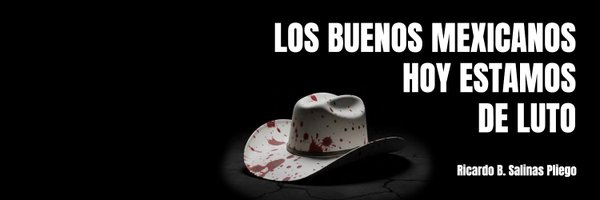 RicardoBSalinas Profile Banner